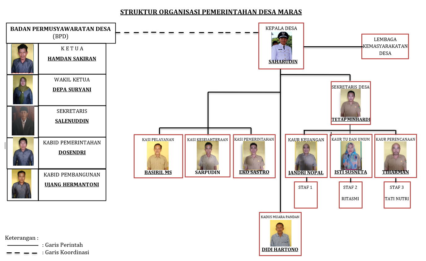 Struktur Organisasi Desa